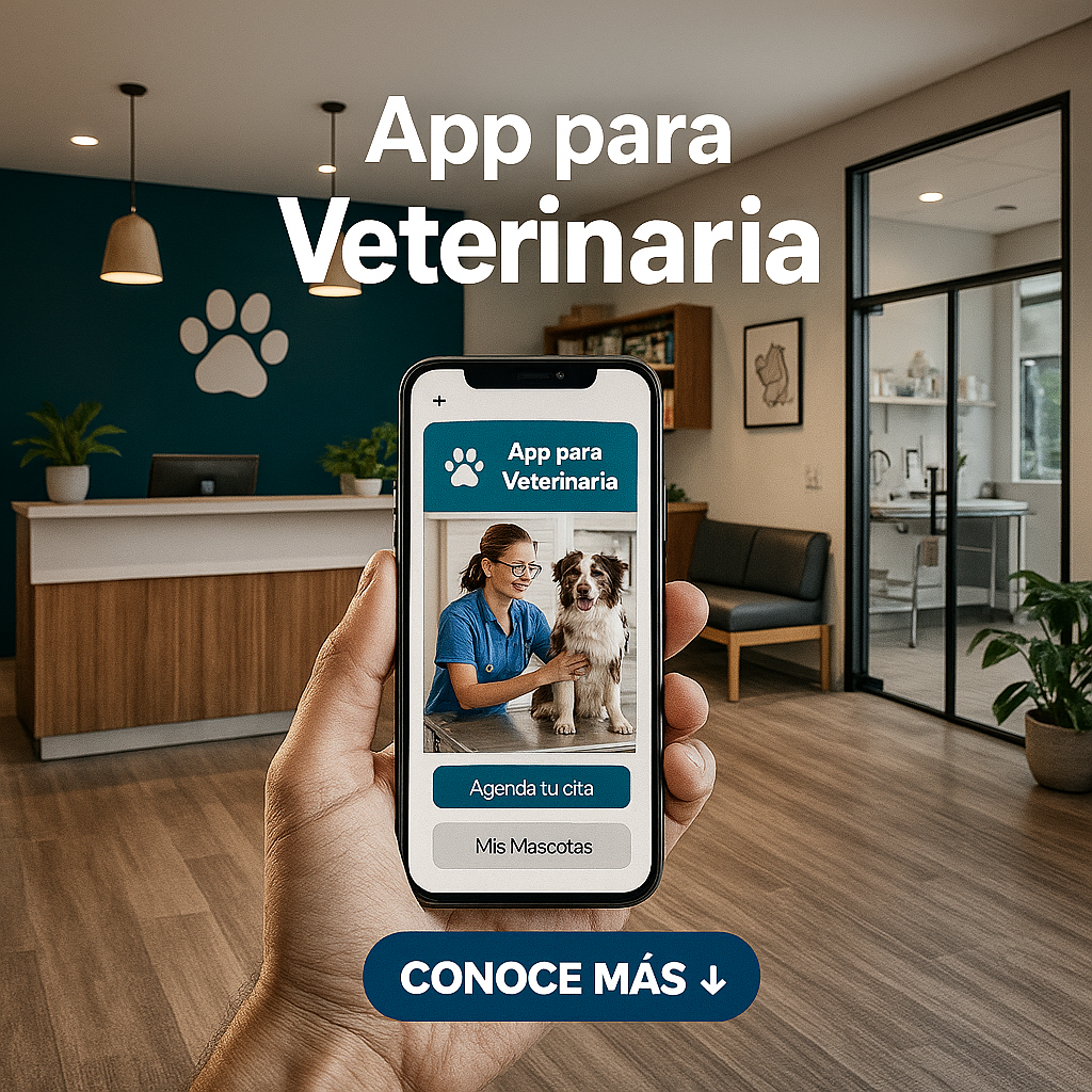 App Global 360°: Creación y Optimización (WebApp / iOS / Android)